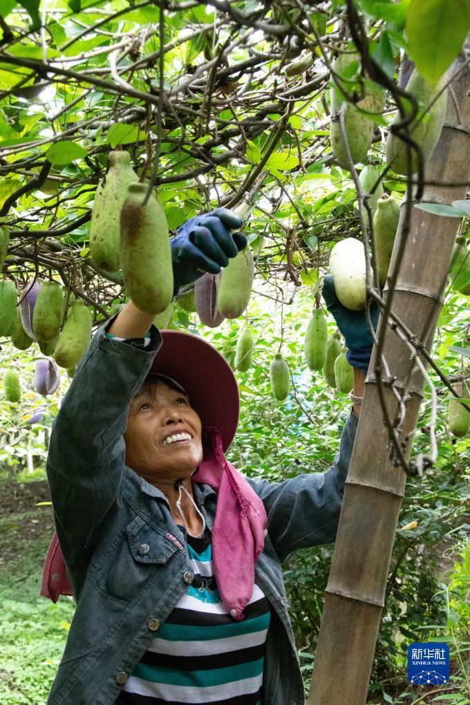 开户注册白菜大全